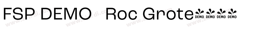 FSP DEMO   Roc Grote字体转换